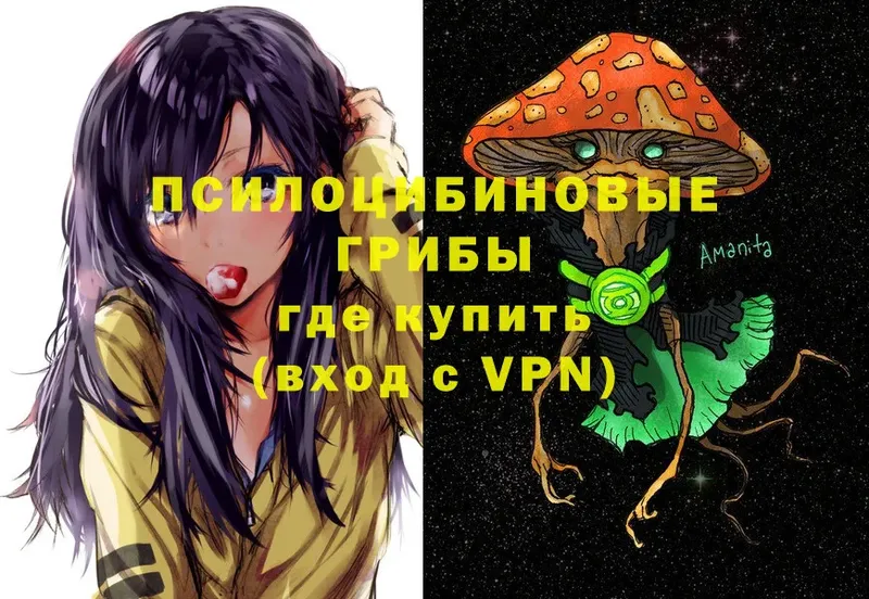 Псилоцибиновые грибы Magic Shrooms Баксан